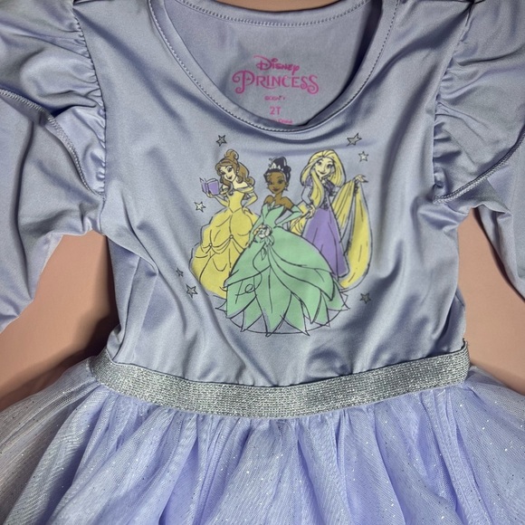 Disney Purple Theater Costume Dress with Frog Design - Picture 6 of 6